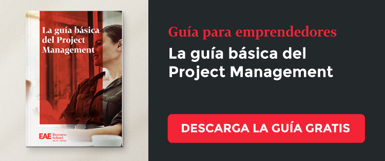 La guía básica del Project Management