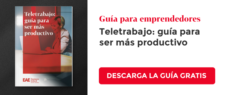 guia teletrabajo