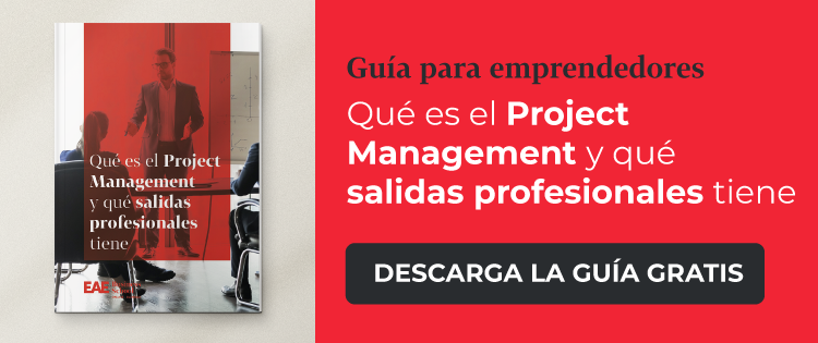 project management salidas profesionales