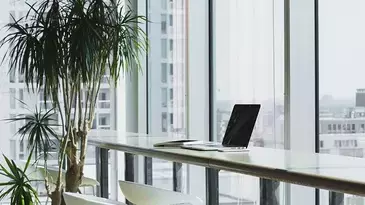 ¿Cuáles son las cinco ciencias relacionadas con la economía?