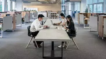 Procedimiento corporativo: Información y plan de acción