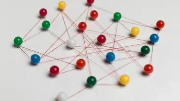 qué es una organización matricial