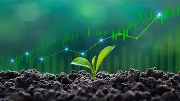 Economía verde
