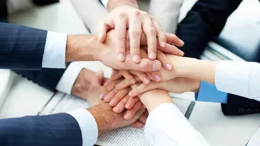 Siete principios para mejorar la capacidad de trabajo en equipo