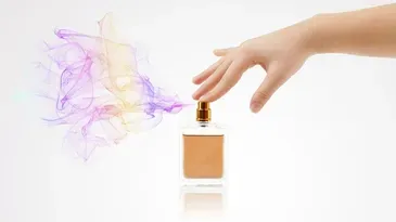 Equivalenza franquicia