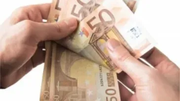 Sueldo medio en la empresa familiar