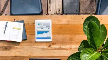 ¿Qué es una empresa emergente?