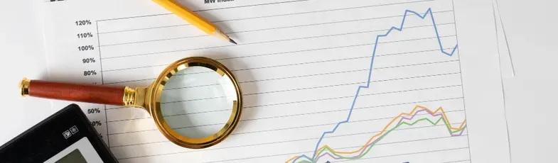 Qué es un gestor financiero