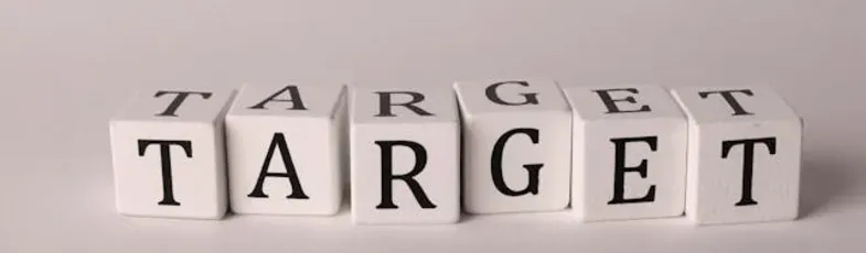 Qué es el público objetivo