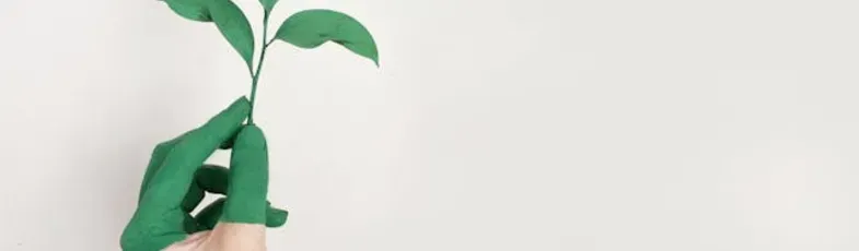 Greenwashing qué es y cómo identificarlo