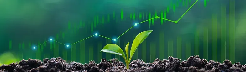 Economía verde