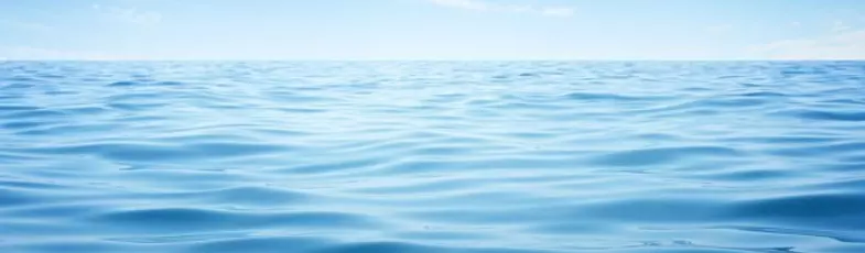Cómo aplicar la estrategia del océano azul en una empresa